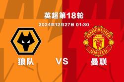 关于狼队主场战平纽卡斯尔联，未能延续连胜的信息